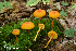  ( - MQ22-HRL3420-QFB33188)  @11 [ ] Copyright (c)  Renee Lebeuf Unspecified