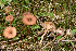  ( - MQ22-HRL3494)  @11 [ ] Copyright (2021) Renee Lebeuf Unspecified