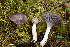  ( - MQ22-HRL3566)  @11 [ ] Copyright (2021) Renee Lebeuf Unspecified