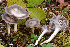  ( - MQ22-HRL3623)  @11 [ ] Copyright (2021) Renee Lebeuf Unspecified