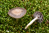  ( - MQ22-HRL3633)  @11 [ ] Copyright (2021) Renee Lebeuf Unspecified