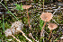  ( - MQ22-HRL3652)  @11 [ ] Copyright (2021) Renee Lebeuf Unspecified