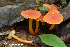  ( - MQ23-HRL3706)  @11 [ ] copyright © (2022) Renee Lebeuf Unspecified