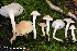  ( - MQ23-HRL3841)  @11 [ ] copyright © (2022) Renee Lebeuf Unspecified