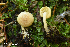  ( - MQ23-HRL3681)  @11 [ ] copyright © (2022) Renee Lebeuf Unspecified