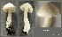  ( - MQ23-CMMF026301)  @11 [ ] by-nc (2011) Jacqueline Labrecque Unspecified