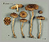  ( - MQ23-CMMF026310)  @11 [ ] by-nc (2012) Jacqueline Labrecque Unspecified