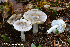 ( - MQ23-HRL4124)  @11 [ ] copyright © (2022) Renee Lebeuf Unspecified