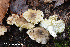  ( - MQ23-HRL4132)  @11 [ ] copyright © (2022) Renee Lebeuf Unspecified