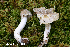  ( - MQ24a-HRL4738)  @11 [ ] (bc-nc) (2024) Renee Lebeuf Unspecified