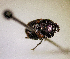  ( - MPALA-T1-ELE-26)  @11 [ ] CreativeCommons  Attribution Non-Commercial Share-Alike  (2024) Unspecified Princeton University