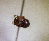  ( - MPALA-T1-ELE-30)  @11 [ ] CreativeCommons  Attribution Non-Commercial Share-Alike  (2024) Unspecified Princeton University