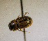  ( - MPALA-T1-ELE-47)  @11 [ ] CreativeCommons  Attribution Non-Commercial Share-Alike  (2024) Unspecified Princeton University