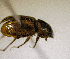  ( - MPALA-T2-ELE-16)  @11 [ ] CreativeCommons  Attribution Non-Commercial Share-Alike  (2024) Unspecified Princeton University