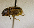  ( - MPALA-T2-ELE-18)  @11 [ ] CreativeCommons  Attribution Non-Commercial Share-Alike  (2024) Unspecified Princeton University