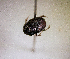  ( - MPALA-T2-ELE-22)  @11 [ ] CreativeCommons  Attribution Non-Commercial Share-Alike  (2024) Unspecified Princeton University