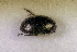  ( - SPEC#0028)  @11 [ ] CreativeCommons  Attribution Non-Commercial Share-Alike  (2024) Unspecified Princeton University