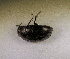 ( - SPEC#0111)  @11 [ ] CreativeCommons  Attribution Non-Commercial Share-Alike  (2024) Unspecified Princeton University