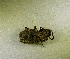  ( - SPEC#0563)  @11 [ ] CreativeCommons  Attribution Non-Commercial Share-Alike  (2024) Unspecified Princeton University