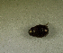  ( - SPEC#0810)  @11 [ ] CreativeCommons  Attribution Non-Commercial Share-Alike  (2024) Unspecified Princeton University