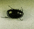  ( - SPEC#0822)  @11 [ ] CreativeCommons  Attribution Non-Commercial Share-Alike  (2024) Unspecified Princeton University