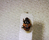  ( - SPEC#0852)  @11 [ ] CreativeCommons  Attribution Non-Commercial Share-Alike  (2024) Unspecified Princeton University