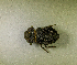  ( - SPEC#0892)  @11 [ ] CreativeCommons  Attribution Non-Commercial Share-Alike  (2024) Unspecified Princeton University