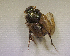 ( - SPEC#1011)  @11 [ ] CreativeCommons  Attribution Non-Commercial Share-Alike  (2024) Unspecified Princeton University