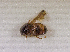  ( - SPEC#1330)  @11 [ ] CreativeCommons  Attribution Non-Commercial Share-Alike  (2024) Unspecified Princeton University