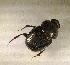  ( - SPEC#2732)  @11 [ ] CreativeCommons  Attribution Non-Commercial Share-Alike  (2024) Unspecified Princeton University