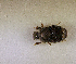  ( - SPEC#3183)  @11 [ ] CreativeCommons  Attribution Non-Commercial Share-Alike  (2024) Unspecified Princeton University