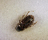  ( - SPEC#3266)  @11 [ ] CreativeCommons  Attribution Non-Commercial Share-Alike  (2024) Unspecified Princeton University
