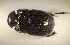  ( - SPEC#3268)  @11 [ ] CreativeCommons  Attribution Non-Commercial Share-Alike  (2024) Unspecified Princeton University