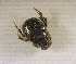  ( - SPEC#3355)  @11 [ ] CreativeCommons  Attribution Non-Commercial Share-Alike  (2024) Unspecified Princeton University