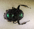  ( - SPEC#3432)  @11 [ ] CreativeCommons  Attribution Non-Commercial Share-Alike  (2024) Unspecified Princeton University