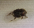  ( - SPEC#3440)  @11 [ ] CreativeCommons  Attribution Non-Commercial Share-Alike  (2024) Unspecified Princeton University