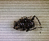  ( - SPEC#3468)  @11 [ ] CreativeCommons  Attribution Non-Commercial Share-Alike  (2024) Unspecified Princeton University