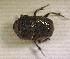  ( - SPEC#3502)  @11 [ ] CreativeCommons  Attribution Non-Commercial Share-Alike  (2024) Unspecified Princeton University