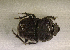  ( - SPEC#3509)  @11 [ ] CreativeCommons  Attribution Non-Commercial Share-Alike  (2024) Unspecified Princeton University