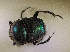  ( - SPEC#3560)  @11 [ ] CreativeCommons  Attribution Non-Commercial Share-Alike  (2024) Unspecified Princeton University