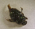  ( - SPEC#3672)  @11 [ ] CreativeCommons  Attribution Non-Commercial Share-Alike  (2024) Unspecified Princeton University