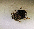  ( - SPEC#3690)  @11 [ ] CreativeCommons  Attribution Non-Commercial Share-Alike  (2024) Unspecified Princeton University