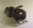  ( - SPEC#3705)  @11 [ ] CreativeCommons  Attribution Non-Commercial Share-Alike  (2024) Unspecified Princeton University
