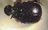  ( - SPEC#3835)  @11 [ ] CreativeCommons  Attribution Non-Commercial Share-Alike  (2024) Unspecified Princeton University