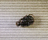  ( - SPEC#3907)  @11 [ ] CreativeCommons  Attribution Non-Commercial Share-Alike  (2024) Unspecified Princeton University