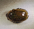  ( - SPEC#3917)  @11 [ ] CreativeCommons  Attribution Non-Commercial Share-Alike  (2024) Unspecified Princeton University