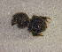  ( - SPEC#3970)  @11 [ ] CreativeCommons  Attribution Non-Commercial Share-Alike  (2024) Unspecified Princeton University