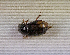  ( - SPEC#3979)  @11 [ ] CreativeCommons  Attribution Non-Commercial Share-Alike  (2024) Unspecified Princeton University
