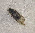 ( - SPEC#3999)  @11 [ ] CreativeCommons  Attribution Non-Commercial Share-Alike  (2024) Unspecified Princeton University