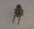  ( - SPEC#4005)  @11 [ ] CreativeCommons  Attribution Non-Commercial Share-Alike  (2024) Unspecified Princeton University